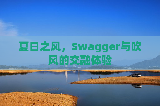 夏日之风，Swagger与吹风的交融体验
